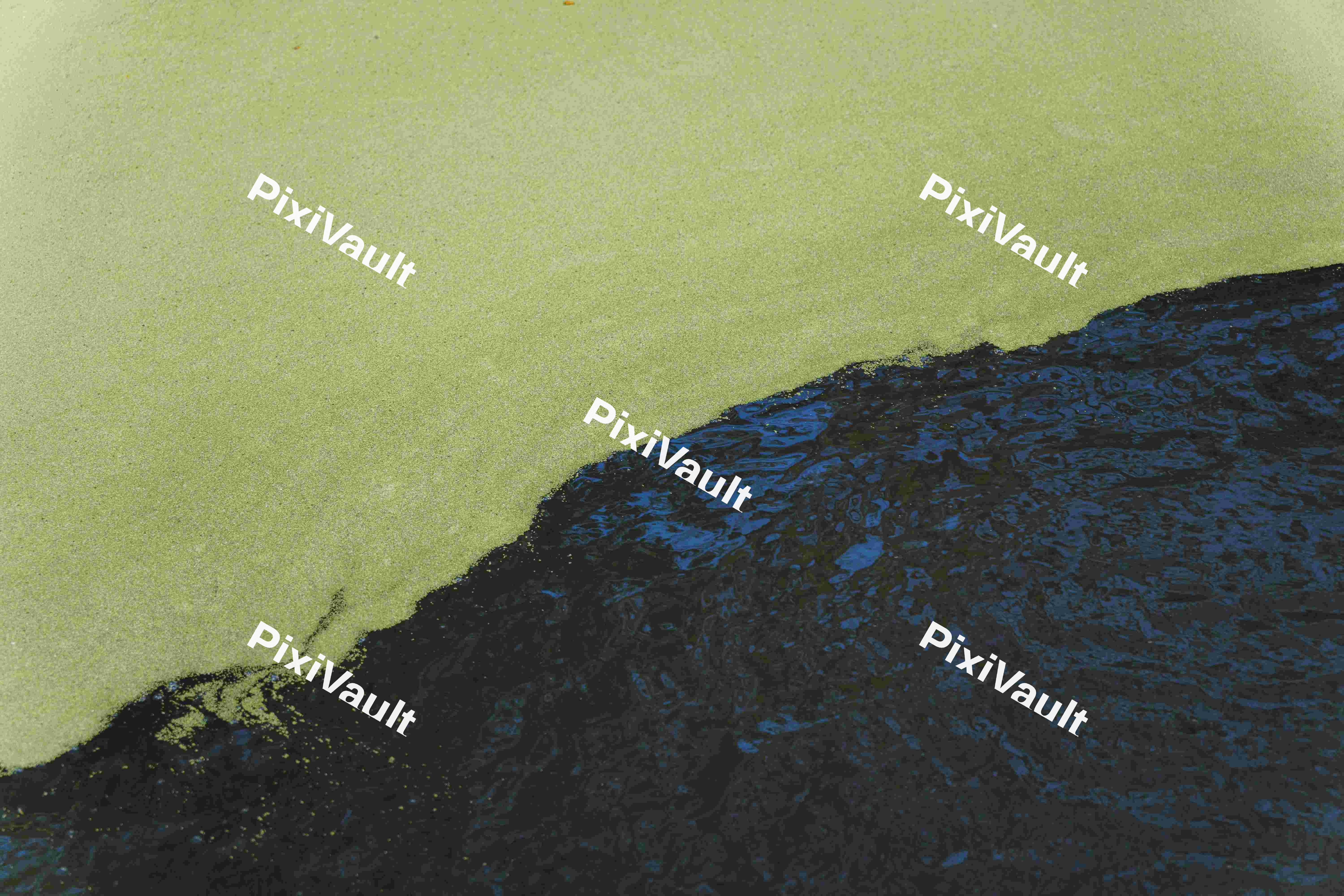 Algae (Variation)